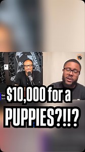 The Real Cost of Breeding_ Are You Ready. With @30bkennels | European Doberman Stud