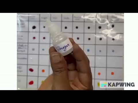Acids, Bases & Color Changes | Microscale Chemistry/ Natural and Artificial Indicators