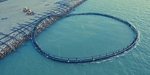WORLD’S FIRST RECYCLED FISH FARMING PEN LAUNCHED