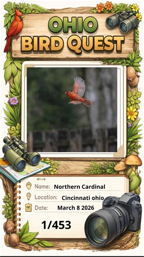 How many birds can I find in Ohio