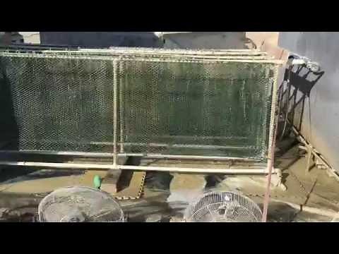 Grey Water Evaporation System - Altitude Lounge - Burning Man