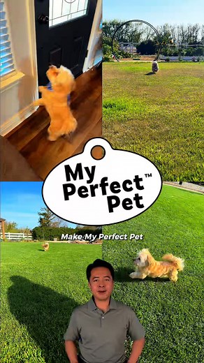 Dog food made with love, backed by science. Start feeding fresh today for a longer, healthier life. 🥦 🥩 Human-grade, real ingredients 🐶 🐱 Praised by vets 🥣 ✅ Pre-portioned for easy mealtimes Use WELCOME15 to save 15% on your first subscription box, or visit your local pet store today! | My Perfect Pet