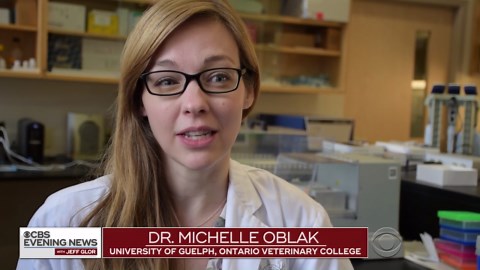 Dog with 3D-printed skull gives researches hope