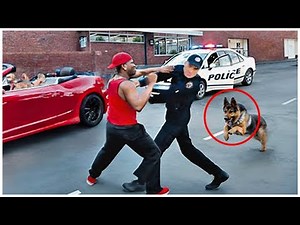 Dogs Being HERO | Best moment Animals That Saved Human Lives of 2025!