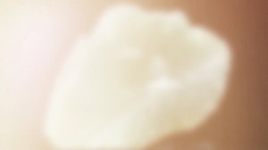 29 reactions | Prasiolite Meaning and Spiritual Properties Shop for Crystals  www.spiritmagicka.net | Spirit Magicka Crystals | Facebook