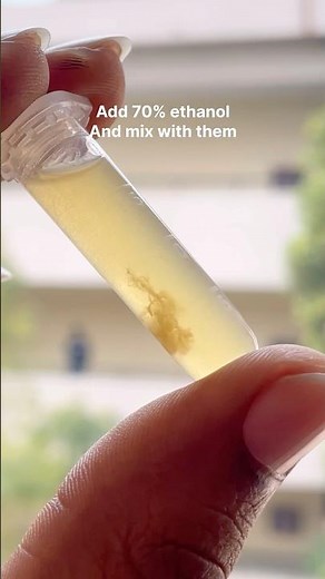 DNA 🧬 EXTRACTION CTAB #dna #biotechnology #bioscience #experiment #research #medical #youtubeshorts