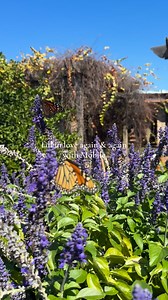 Ready for something new close to home? Explore the best of Mobile. Natural beauty and charm, history, coastal views, and can’t‑miss attractions. Easy to get to, hard to forget! | Visit Mobile