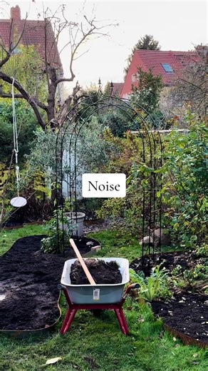 Embracing Silence in Your Gardening Journey