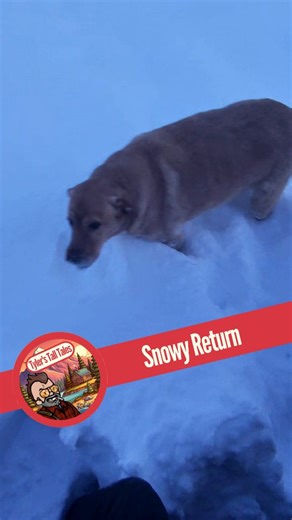 Tyler on Instagram: "Snowy Return, after Christmas in Ohio I find a foot of snow when I return! #alaskalife #brokennecksurvivor #offthegrid #5thwheellife #paralysis"