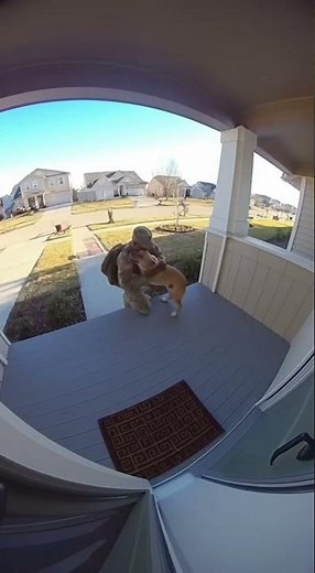 Loyal Dog Can't Stop Hugging Soldier Who Finally Came Home