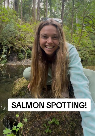 Salmon Spotting: Witness Epic Pacific Migrations