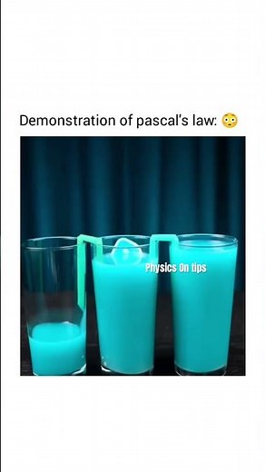 Pascal's Principle, also known as the Principle of Transmission of Fluid Pressure #pascal #pot