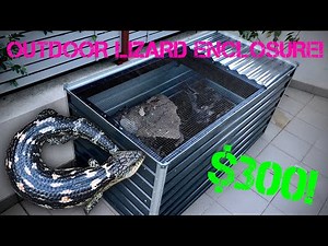 How I built an OUTDOOR LIZARD PIT / ENCLOSURE FOR $300!