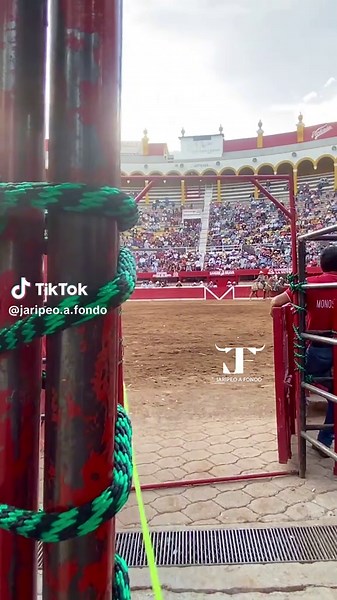 DE LAZO 🐂🔥 #jaripeoranchero #jaripeos #caballos #jaripeo_ranchero #caballosfinos #jaripeorancherodelazo