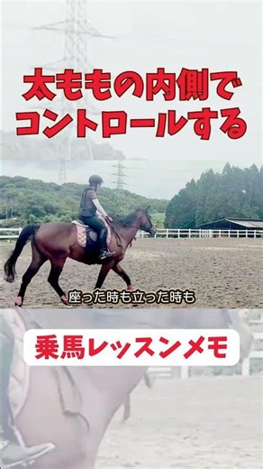 "Horse riding" - Don't fall backward when you sit down #horse riding #horse #trotting