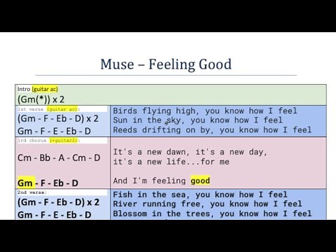 Muse - Feeling Good Guitar Backing Track
