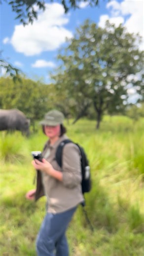 Ziwa Rhino and Wildlife Ranch is the proud home of the only white rhinos in Uganda. Located in Nakasongola district, not only can you find rhinos, but a wide variety of bird species and other wildlife. The wildlife ranch has become a popular destination for tourists looking for adventure. #wildjungletrails #safari #Uganda #gorilla #rhinoceros | Wild Jungle Trails