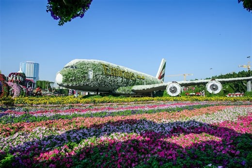 A Full List Of The Accredited Online Universities Uae?