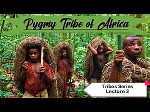 पिग्मी जनजाति(Pygmy Tribe of Central Africa)