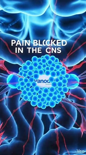 Panadol (Paracetamol): How It Works & Safety Guidelines ‪@TheBrainBridge-k9q‬