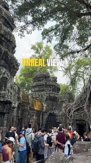 The Jungle Has Reclaimed This Ancient Temple 😮 #travel #shorts #siemreap