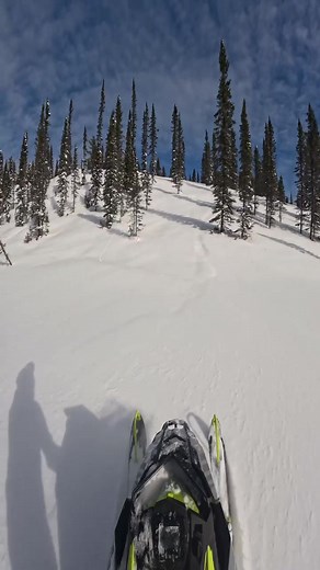 GGB Exhaust on TikTok