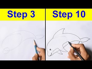 Line Drawing of a Dolphin | Pencil and Sketch Pen Tutorial