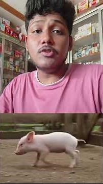 Charlottes web movie explain #shorts #movieexplained