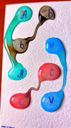 Fun Colors Water Drop🟣🔵🔴💦#shorts #colors #funny #mixing #games #satisfying#trending #viral