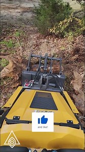 Picking up a stump that was removed by a Case backhoe! #miniskidsteer #huayee #stumpremoval