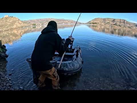 In de winter op karpervissen in de Spaanse rivier de Ebro - Sebas Boatlife