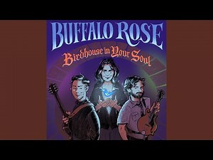 Birdhouse in Your Soul