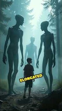 The Vanishing Campers: Alien Encounter in Forest