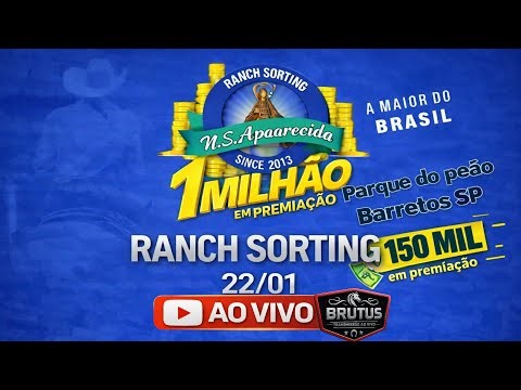 FINAIS - RANCH SORTING - N.S APARECIDA (LINK2)