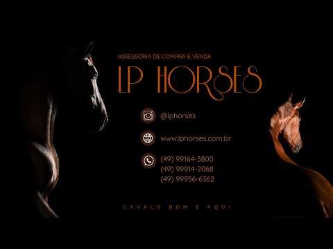 PHILOMENA LOAD MV edit pub 02