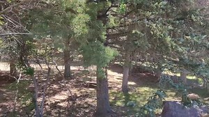 12K views · 320 reactions | Inside Cactus Pete's Casino in Jackpot, Nevada | Jacobs Life in Vegas | Facebook