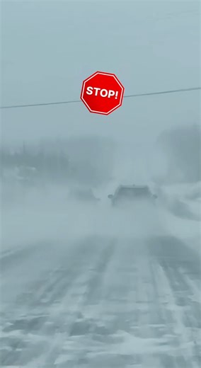 ⚠️Whiteouts from Parker's Cove to Red Harbour Today January 21, 2026. Credit 🎥 Buntea #road #whiteout #snow #squall | Emily Q. Maeza