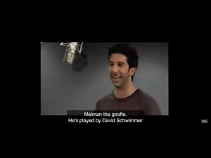 Opening To Shrek 2 2004 VHS