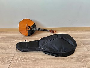 Vintage Ukrainian Dombra, Professional Domra, National Folklore Stringed Instrument, Mandolina 4 Strings, Ukrainian Balalaika, Sale, Case - Etsy