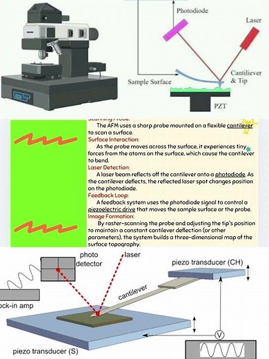 Atomic Force Microscope #microbiology #microscope #science #force