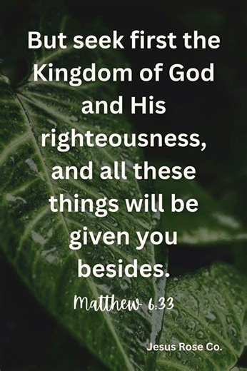Catholic Bible Study | Matthew 6:33 | Jesus Rose Co. ✝️