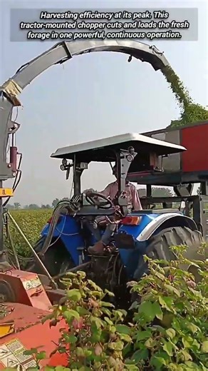 Forage Harvester: Tractor Chopping And Loading Crops Quickly.