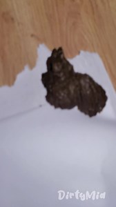 MASSIVE SHIT DROP FROM CHAIR