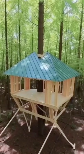 Epic Backyard Tree House Construction