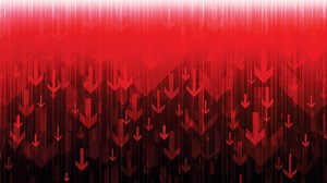 Meme Coin BOB Tanks 45% After Elon Musk Calls its Twitter Bot Account a 'Scam'