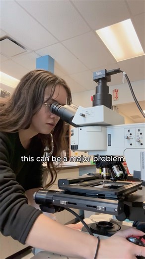 My lab’s microscope is broken… 🔬🛠️ #neuroscience
