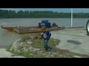 donau hochwasser wildungsmauer mit schlange 07 06 2013