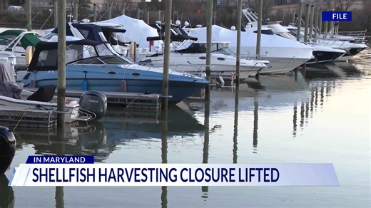 Maryland shellfish harvesting closure lifted