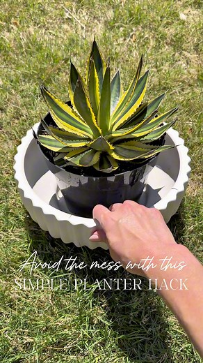 61K views · 266 reactions | I tried this easy planting hack and it...