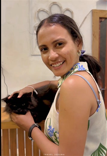 The Paw Street: A Must-Visit Pet-Friendly Destination